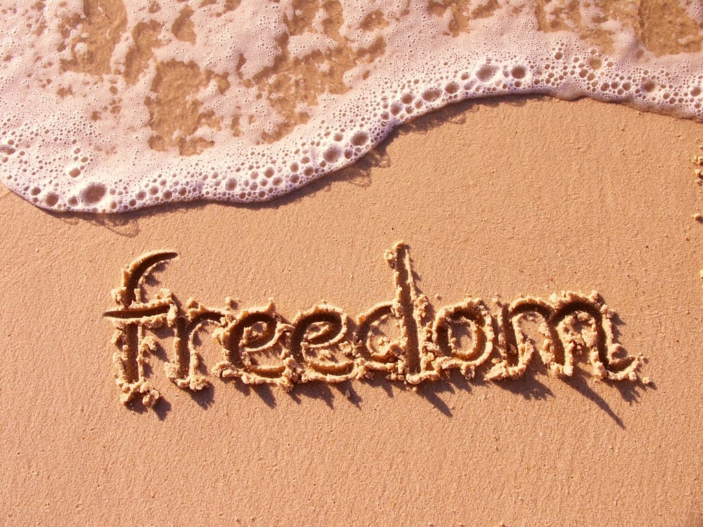 Giving Away Our Freedom