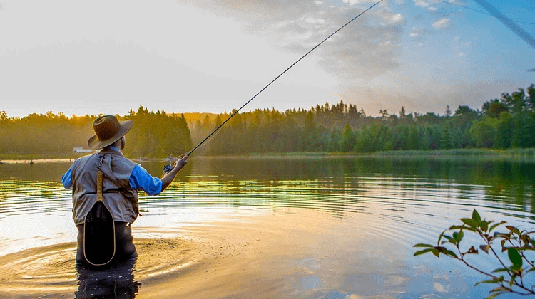 Ego Fishing